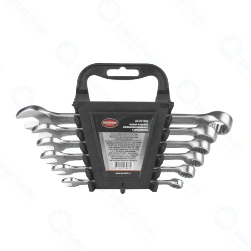 Набор комбинированных ключей AV STEEL AV-031060, 6 предметов