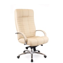 Кресло руководителя Everprof Atlant AL M экокожа бежевый Кресло руководителя Everprof Atlant AL M экокожа бежевый