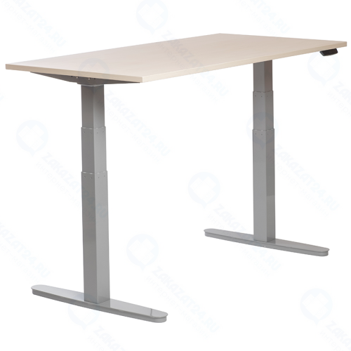 Стол с электроприводом ErgoSenso-109 (серый /береза)