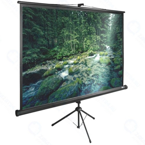Экран Cactus 165x220см TriExpert CS-PSTE-220x165-BK 4:3 напольный рулонный черный