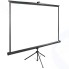 Экран Cactus 165x220см TriExpert CS-PSTE-220x165-BK 4:3 напольный рулонный черный
