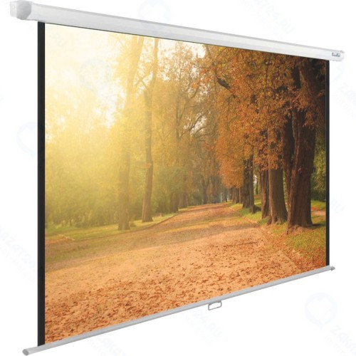 Экран Cactus 125x200см WallExpert CS-PSWE-200x125-WT 16:10 настенно-потолочный рулонный
