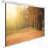 Экран Cactus 125x200см WallExpert CS-PSWE-200x125-WT 16:10 настенно-потолочный рулонный