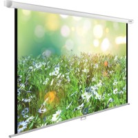 Экран Cactus 200x200см WallExpert CS-PSWE-200x200-WT 1:1 настенно-потолочный рулонный