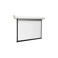 Экран c электроприводом CLASSIC SOLUTION Classic Lyra (16:9) 248x240 (E 240x135/9 MW-M8/W ED)