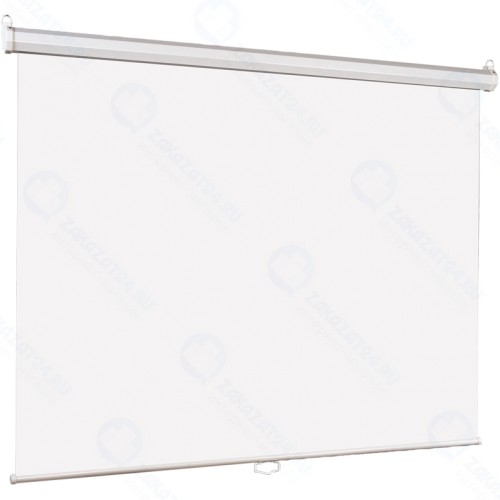 Настенный экран Lumien Eco Picture 160х160 см