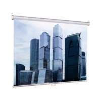 Настенный экран Lumien Eco Picture 183х244см