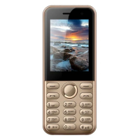 Мобильный телефон Vertex D567 Золотой
