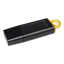 USB флешка 128Gb Kingston DTX/128Gb USB 3.2 Gen 1 (USB 3.0)