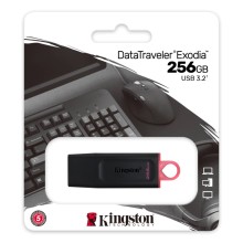 USB флешка 256Gb Kingston DTX/256Gb USB 3.2 Gen 1 (USB 3.0)