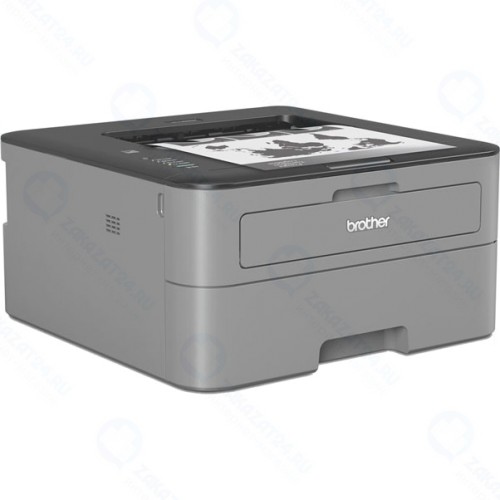 Лазерный принтер Brother HL-L2300DR