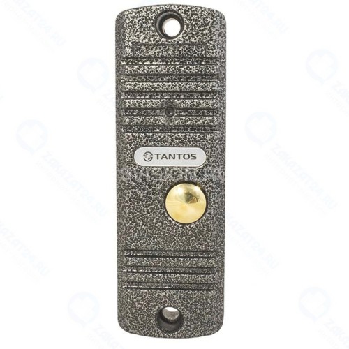 Вызывная панель TANTOS WALLE (серебро) HD