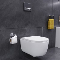 Подвесной унитаз Damixa DX86C1700SC с сиденьем микролифт