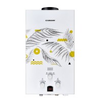 Газовая колонка EDISSON E 20 GD (Каннская ветвь)