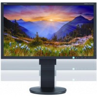 Монитор NEC MultiSync EA234WMi 23" Black