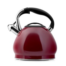 Чайник Esprado Turia Marsala, 3 л