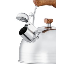 Чайник REGENT inox TEA люкс, 3,8л