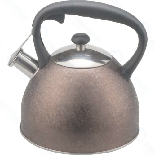 Чайник металлический Winner WR-5059, 3л