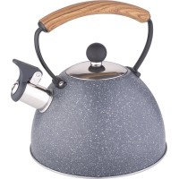 Чайник металлический Winner WR-9202 2,5 л