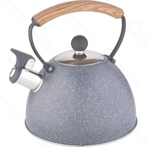 Чайник металлический Winner WR-9202 2,5 л