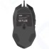 Мышь Acer OMW170 черный оптическая USB (1545841)