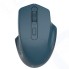 Мышь беспроводная Canyon CNE-CMSW15DB синий