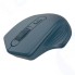 Мышь беспроводная Canyon CNE-CMSW15DB синий