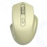 Мышь беспроводная Canyon CNE-CMSW15GO желтое золото