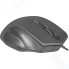 Мышь Defender Datum MB-347 Black (52347)
