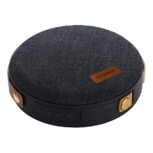 Портативная акустика Hyundai H-PAC500, черный Портативная акустика Hyundai H-PAC500, черный