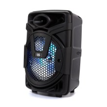 Портативная акустическая система Loona SoundBX L4