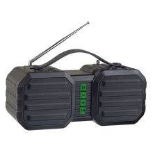 Беспроводная колонка Perfeo "STAND" FM, MP3 microSD, USB, AUX, мощность 10Вт, 2400mAh, черная/зеленая