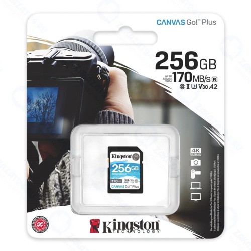Карта памяти 256Gb Kingston Canvas Go Plus SDXC UHS-I U3 V30 (170/90 Mb/s)
