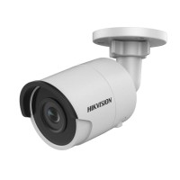 Видеокамера IP Hikvision DS-2CD2023G0-I 4мм