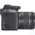 Цифровой зеркальный фотоаппарат Canon EOS 250D Kit 18-55 IS STM Black