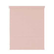 Рулонная штора DDA POIS розовый 48х170