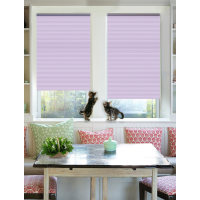 Рулонная штора Эскар Райли однотонная 48*160, фиолетовый