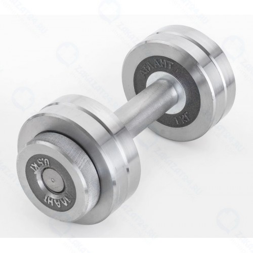 Гантель Атлант Спорт с галтованными дисками 6 кг (металл), разборная