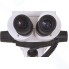 Микроскоп стереоскопический Bresser Science ETD 101 7–45x