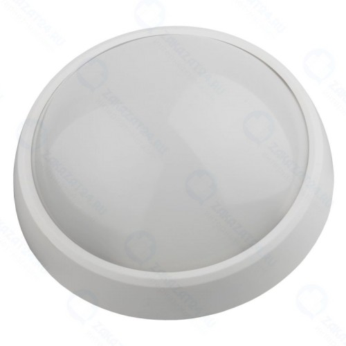 Уличный светодиодный светильник ЭРА SPB-1-12 (W).