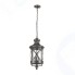 Уличный подвесной светильник Odeon Light Sation 4045/3.