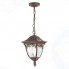 Уличный подвесной светильник ST Luce Chiani SL083.703.01