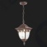 Уличный подвесной светильник ST Luce Chiani SL083.703.01