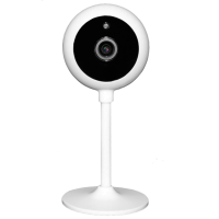 Wi-Fi видеокамера Falcon Eye Spaik 2