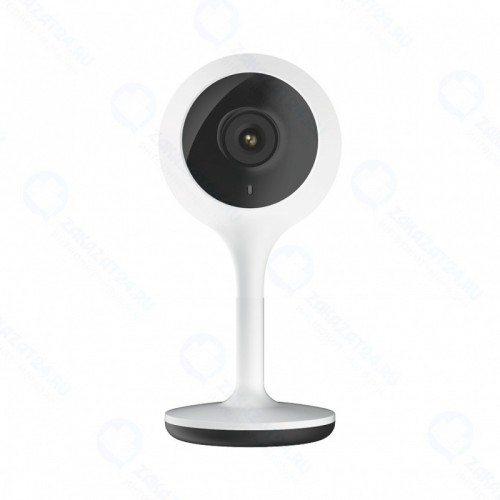 IP камера RUBETEK (белый), RV-3419/Wh