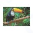 Пазл DODO Птица Тукан. Бразилия, 500 элементов