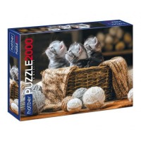 Пазл HATBER Premium Хвостатые полосатые 2000 эл.