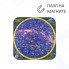 Пазл магнитный ГЕОМАГНИТ Карта созвездий северного полушария