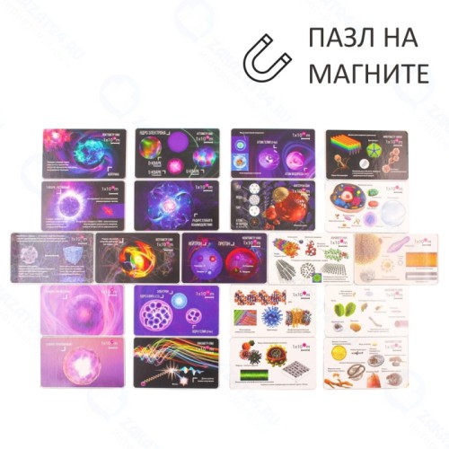 Пазл магнитный ГЕОМАГНИТ Масштабы микромира