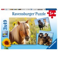 Пазл RAVENSBURGER Пони 3х49